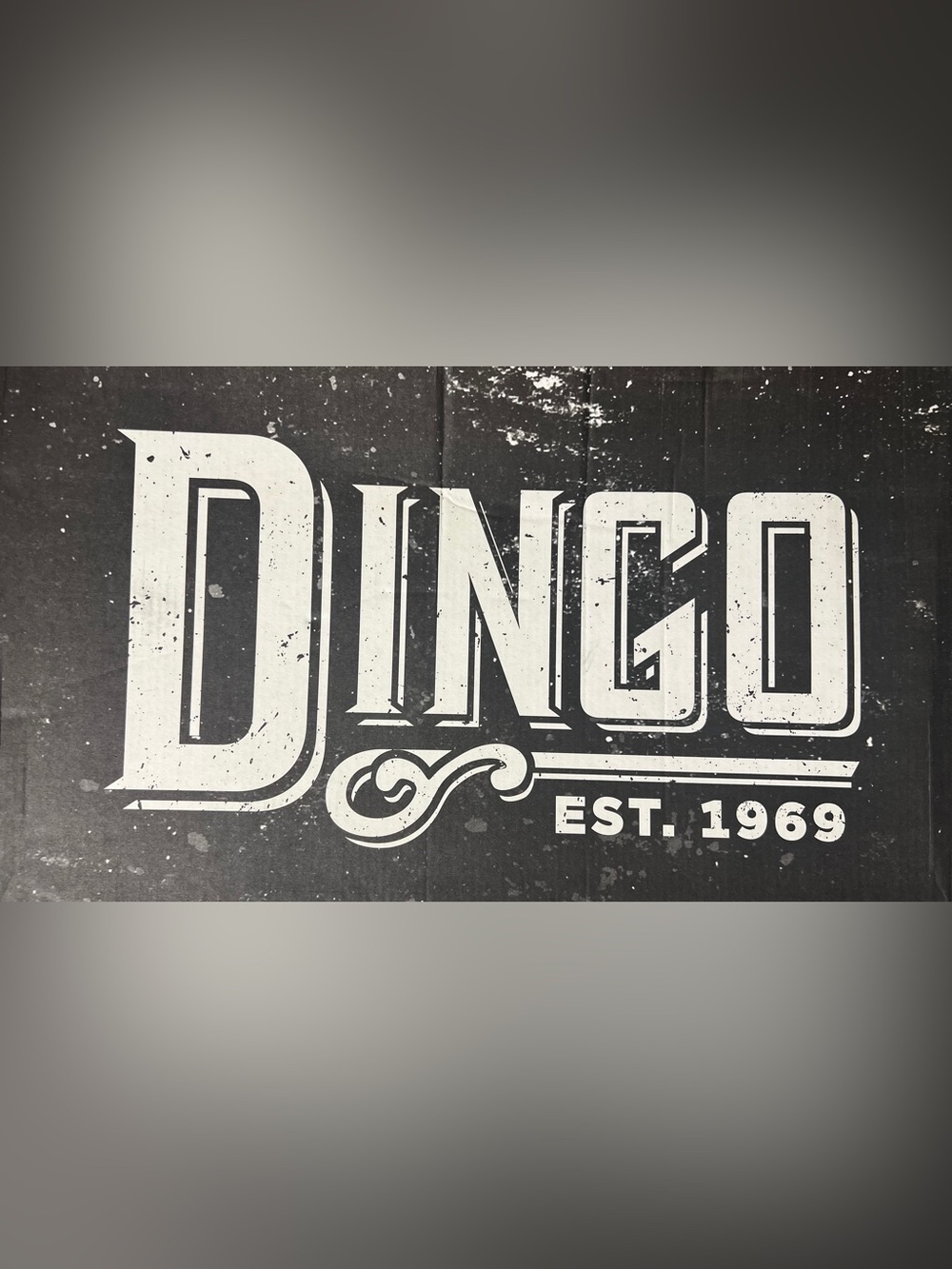 Dingo - Pachita Western Boots - Picture 14 of 14